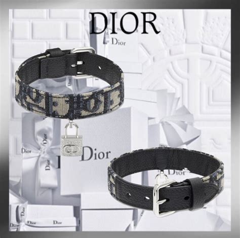 dior dog wallpaper|Dior dog accessories.